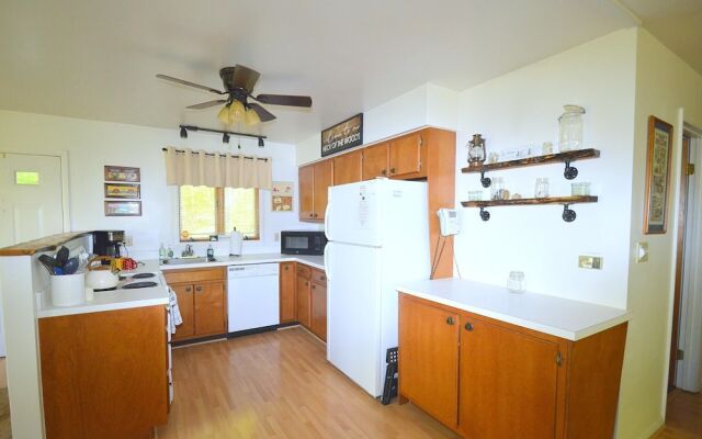 Chesnutt Cabin on the Cacapon River