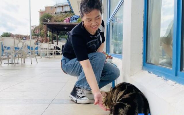 Shengsi Wolfberry Island Occasion Inn