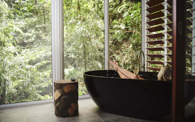 Daintree Ecolodge