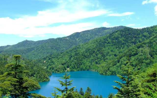 Aspen Shiga