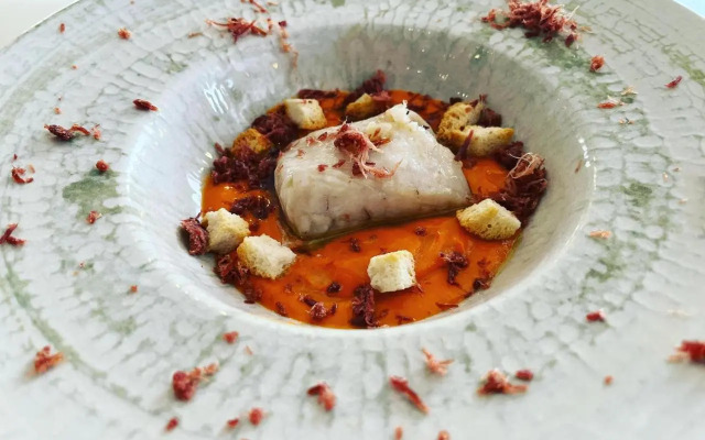 NOVO Apartahotel & Restaurante