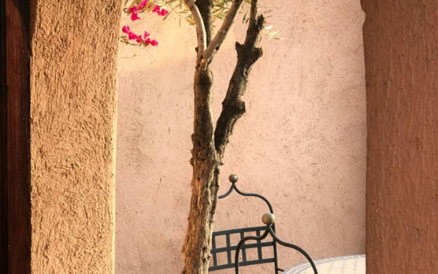 Riad Zahir