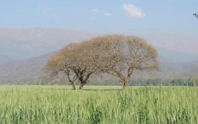 Finca Las Margaritas