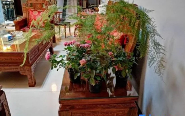 Shanzhongjian Hostel