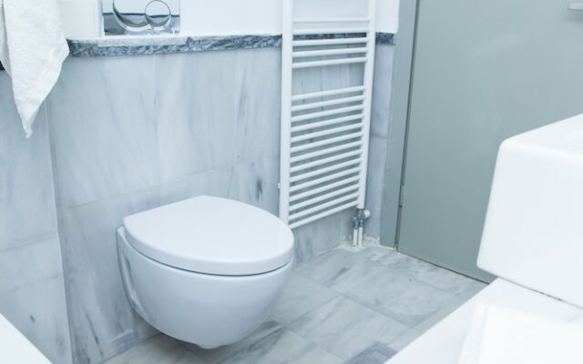 Venus Boutique Apartment