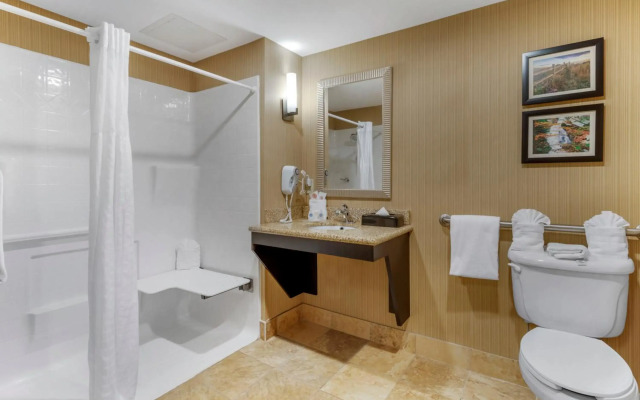 Comfort Suites North
