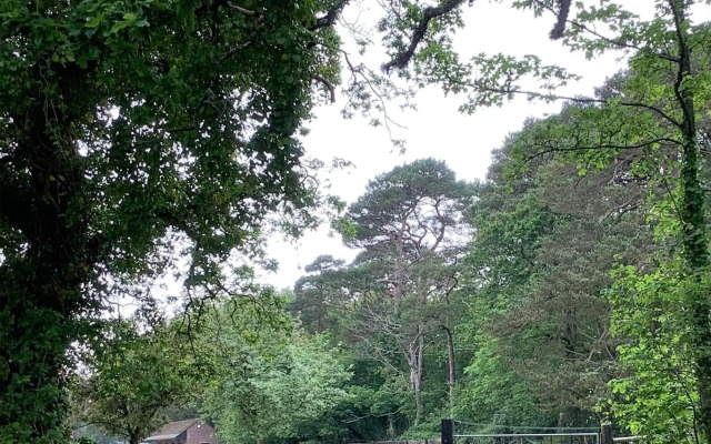 Self Catering Apartment, Jurassic Coast/Dorset