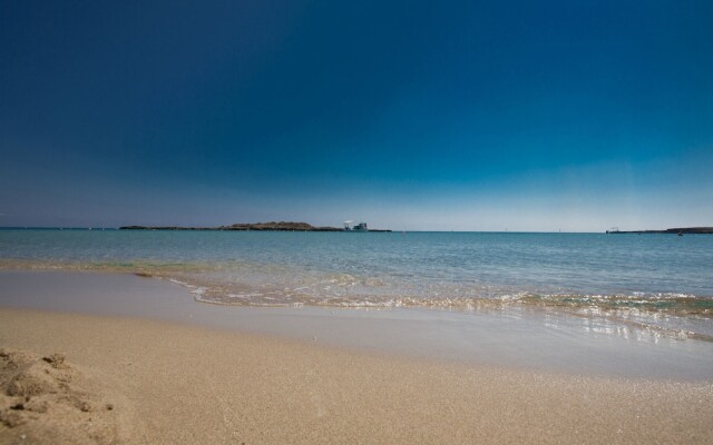 Cyprus Apartment Palm 204 Gold