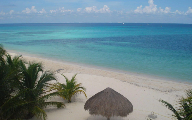 Beachouse Dive Hostel Cozumel