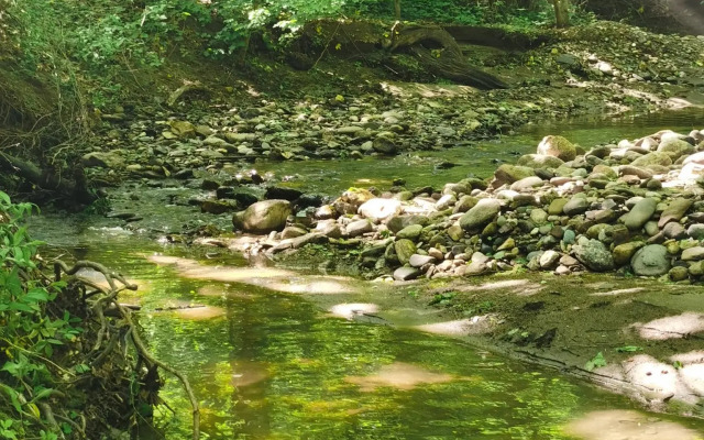 MestoCamp