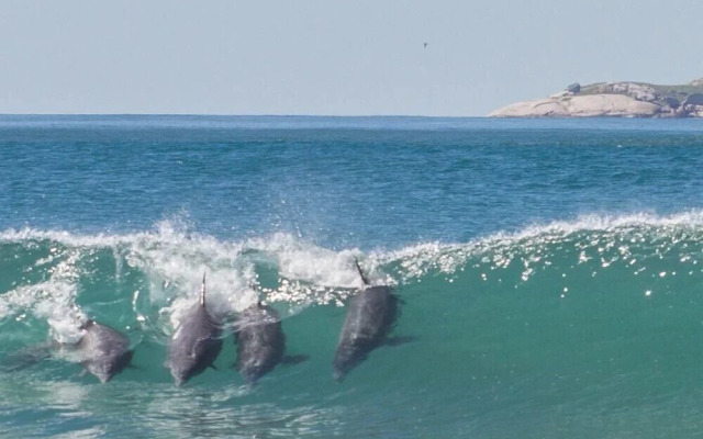 Resid. Clube Mar Grosso-Laguna - LAG208