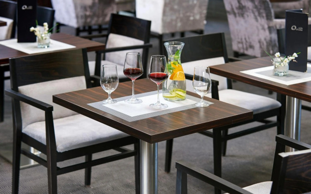 Congress & Wellness Hotel Olsanka