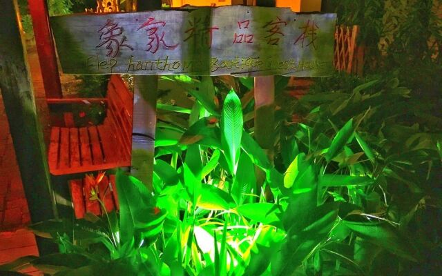 Xishuang Banna Elephant Home Boutique Guest House