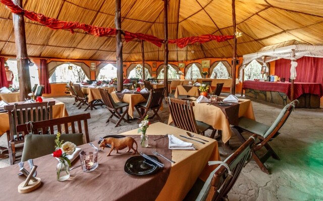 Aruba Mara Bush Camp