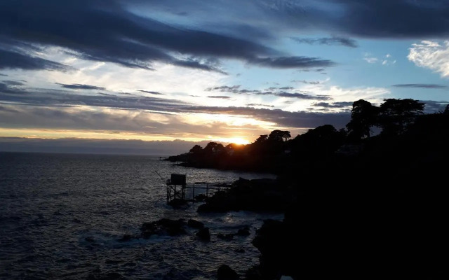 Claire Marine - Inh 27377