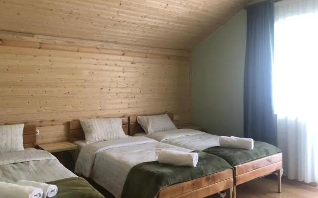 Cozy Place in Kazbegi