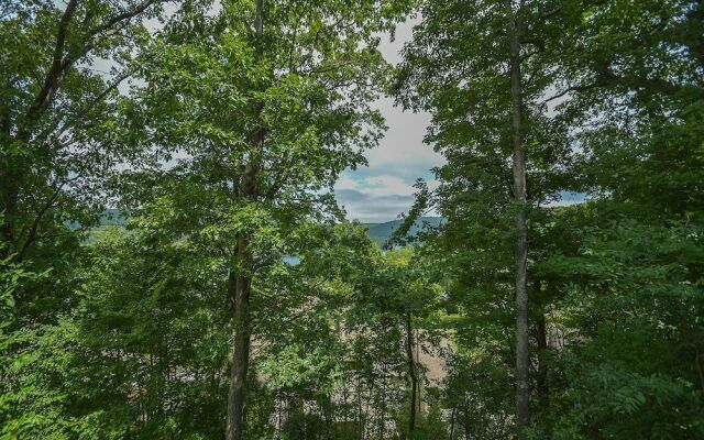 Very Beary Ridge House