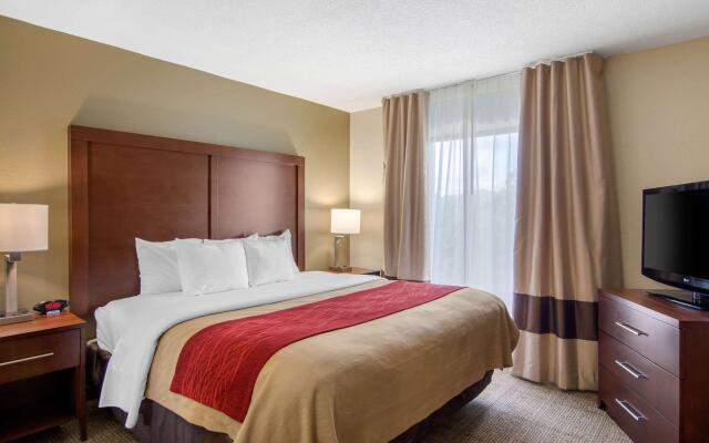 Comfort Inn Chester - Richmond South