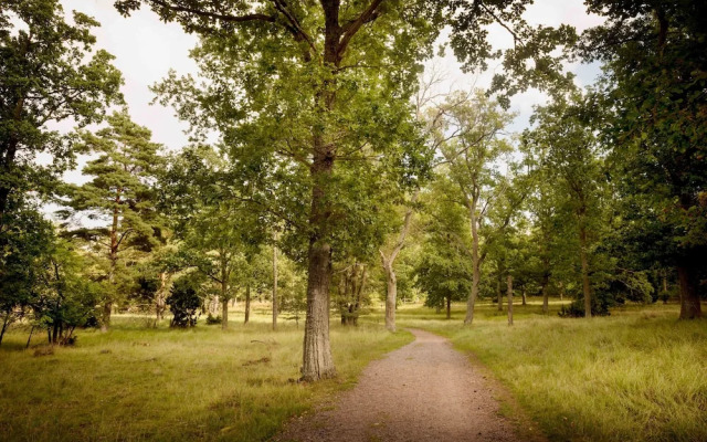 First Camp Stensö Kalmar