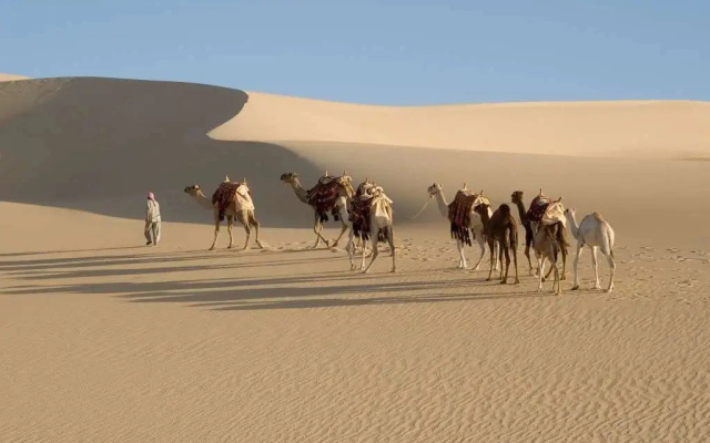 Taziry Ecovillages Siwa