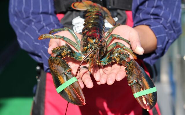 Hotel & Pool Villa Attirance