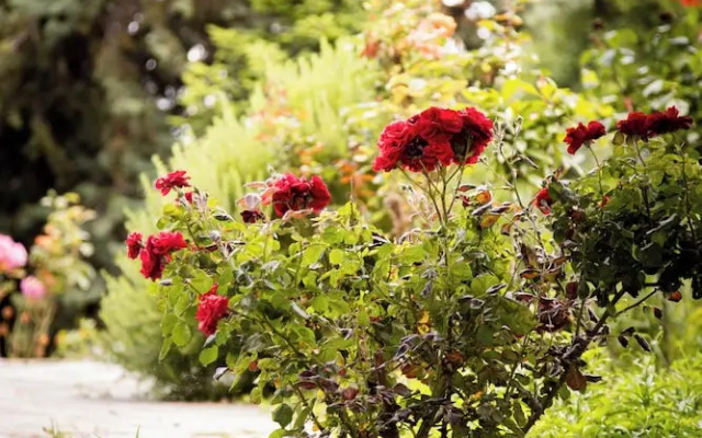 Zeusplace Pool Villa Natura