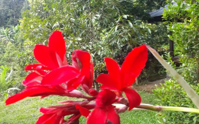 Sugi Gede Homestay