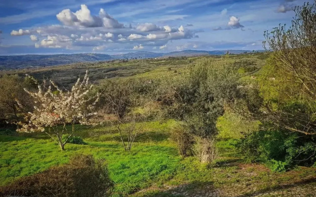 Rustic Terrace2 Bedrooms Farm House