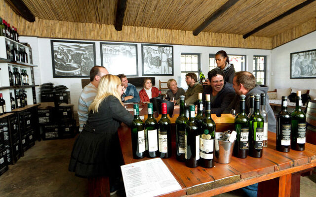 Endless Vineyards at Wildekrans Wine Estate