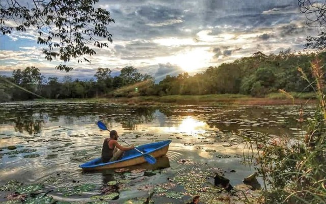 Wichai's Jungle Home Stay