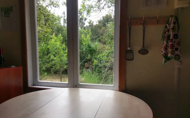 Ecoturismo Los Manzanos