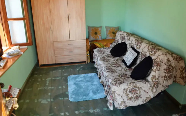 Traditional Karpathian home with panoramic View