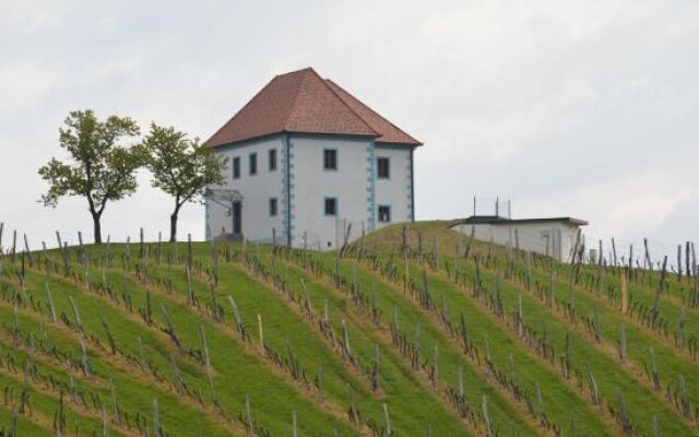 Wine Grower's Mansion Zlati Gric