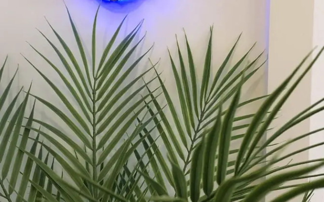 Mcnaughton Guestrooms