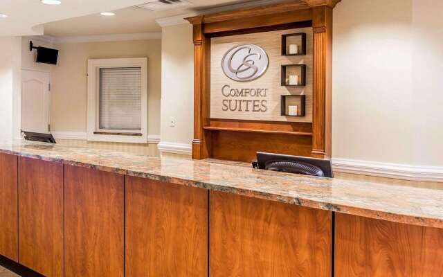 Comfort Suites Valdosta Mall Area