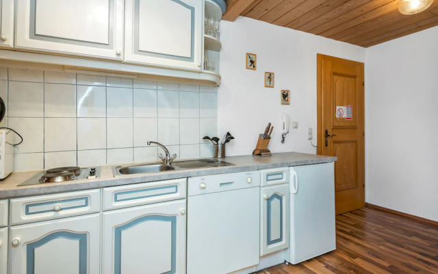 Appartements Traxl by Skinetworks