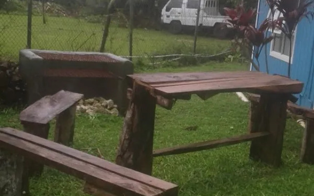 The Friendly Islander (Papiloa's)