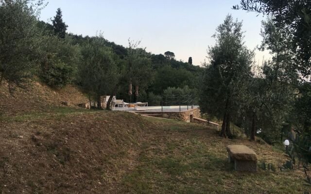 Il Giardino degli Olivi