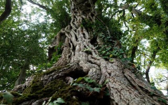 Proche Puy du Fou - Roches Blanches