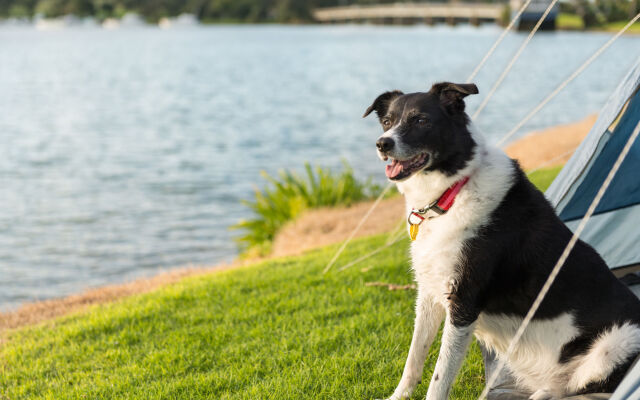 Waitangi Holiday Park