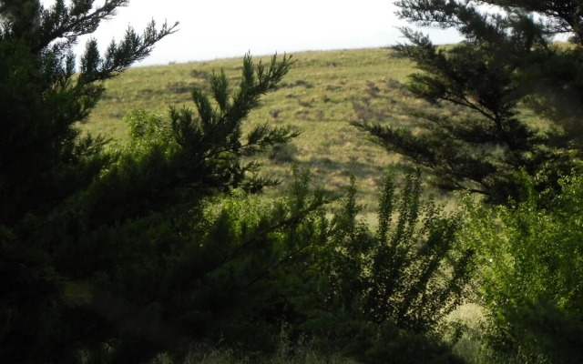 tierra ventana