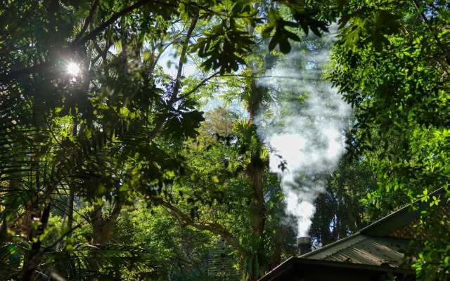 Narrows Escape Rainforest Retreat
