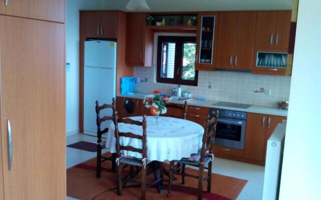 Elatos cozy Studio