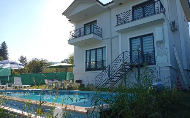 Invigorating Villa With Private Pool in Sapanca