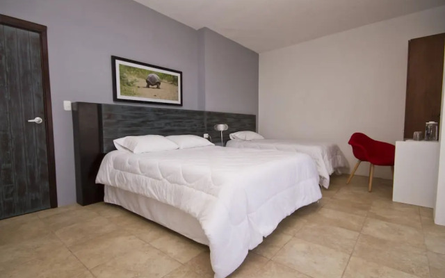 Hotel Volcano