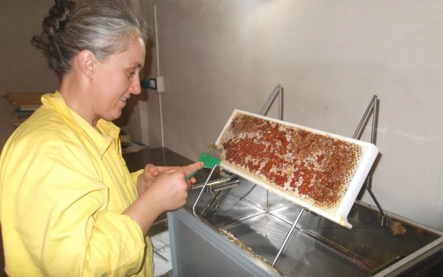 Agriturismo il Filo di Paglia