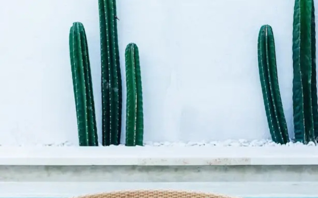 Villa Riska by Premier Hospitality Asia