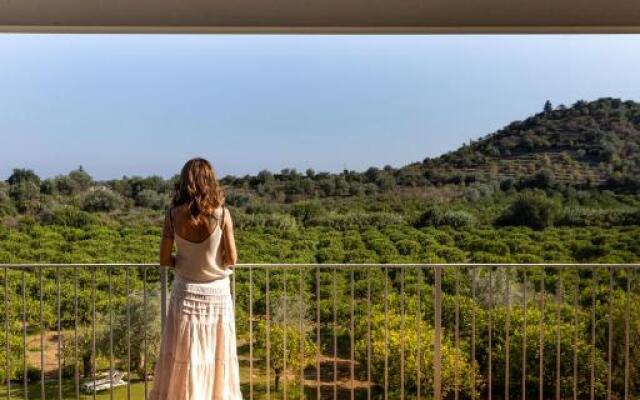 Helorus - Zagara Bianca