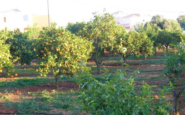 Villa With 4 Bedrooms in Silves, With Wonderful Mountain View, Private