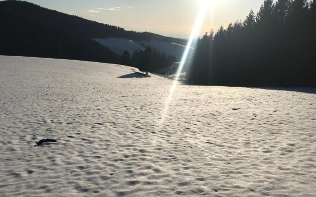 Hochkopfhaus zum Auerhahn